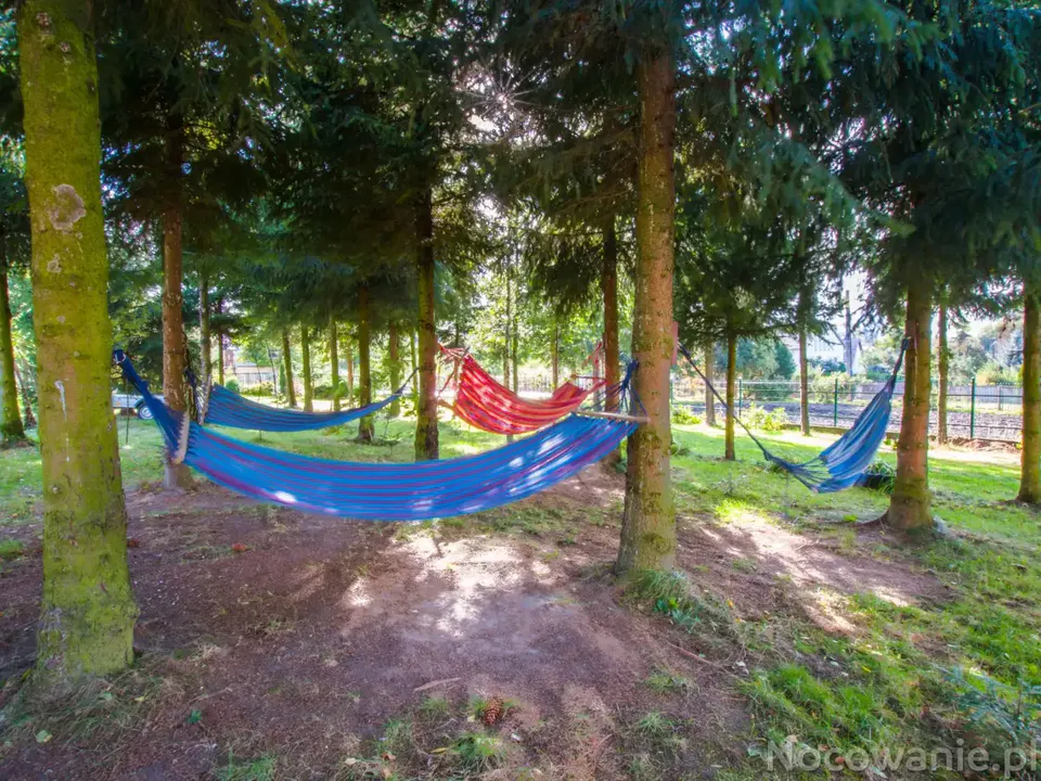 Strefa relaksu z hamakami w cieniu drzew