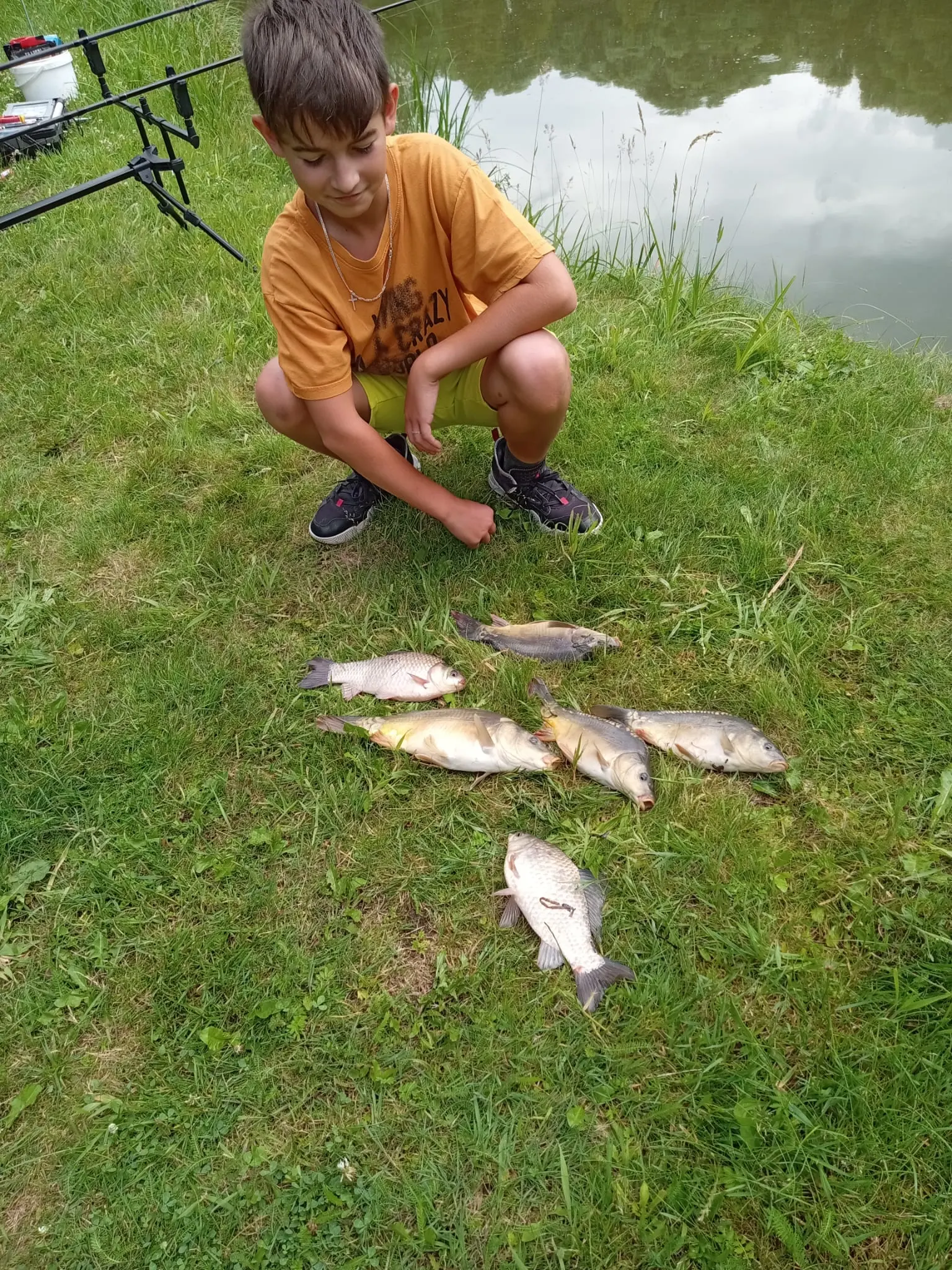 Ryby złowione z naszego stawu